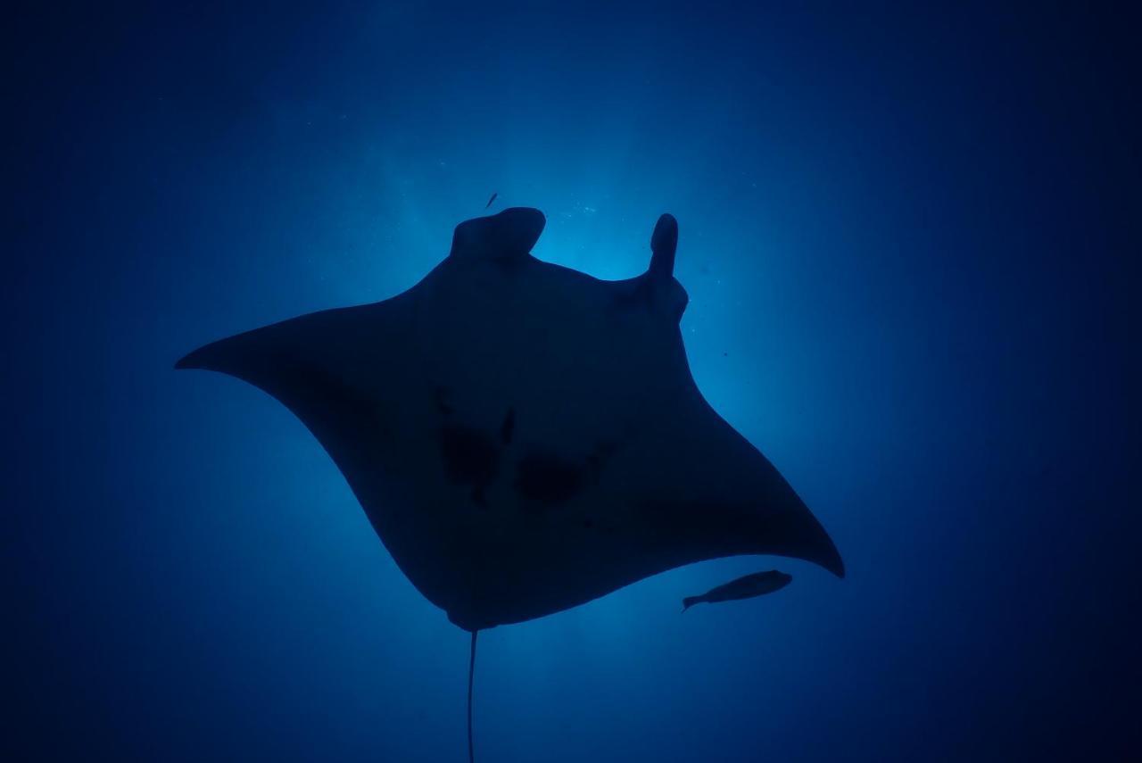 Coco Villa,Ukulhas Zewnętrze zdjęcie