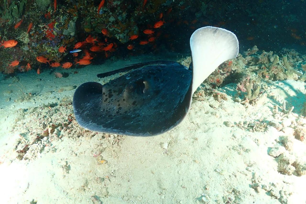 Coco Villa,Ukulhas Zewnętrze zdjęcie